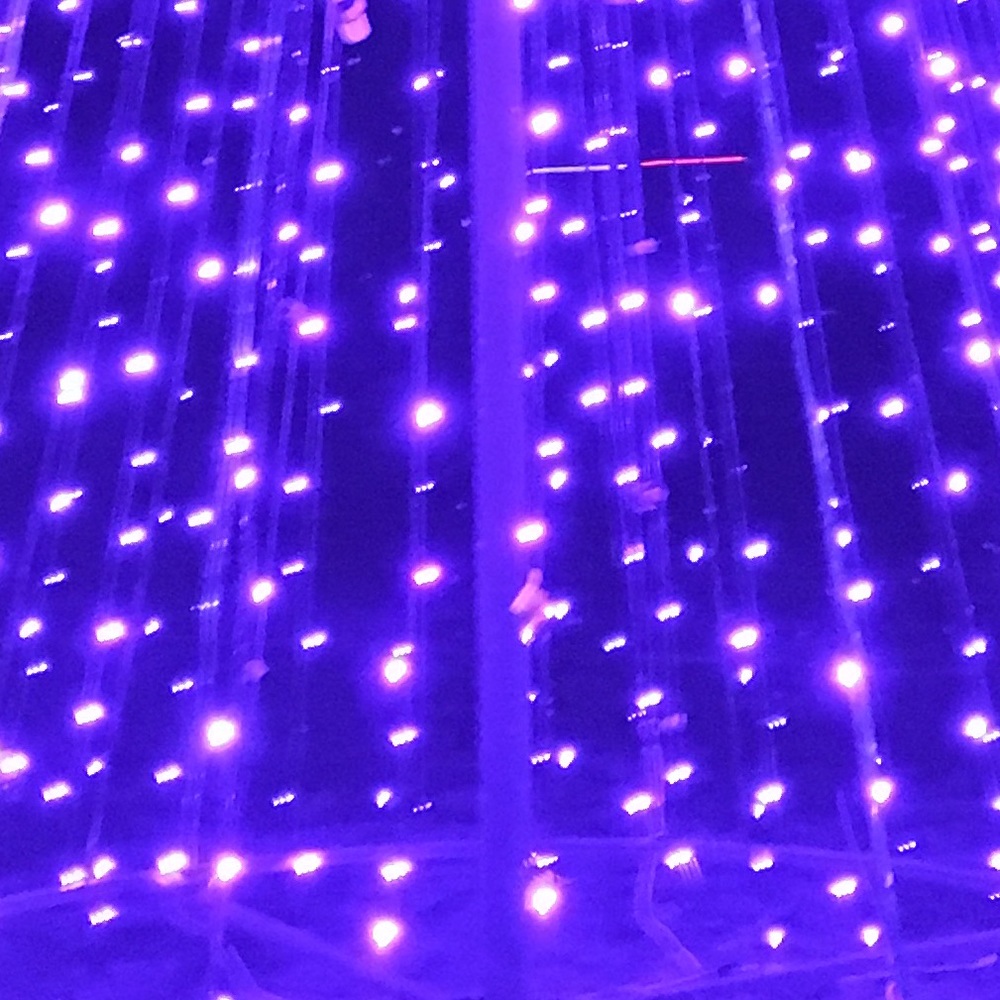 Meet your Posher, Reagan